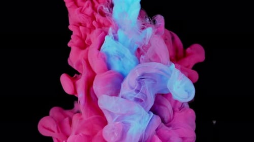 Abstract Pink and Blue Ink Swirling Together