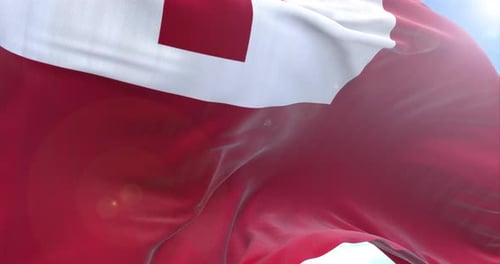 Tonga Flag Waving in Wind with Blue Sky Background
