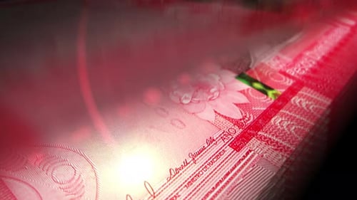 Dominican Peso money counting seamless loop