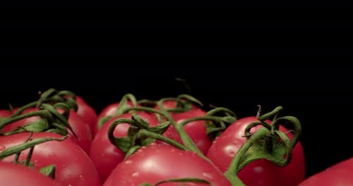 Fresh red cocktail tomatoes super close-up shoot with dark background unique high resolution 4k shoo