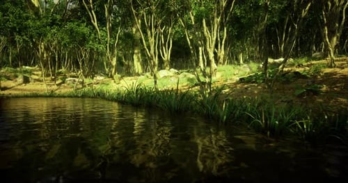 Tranquil Forest Landscape with Lush Greenery and Reflective Water Surface