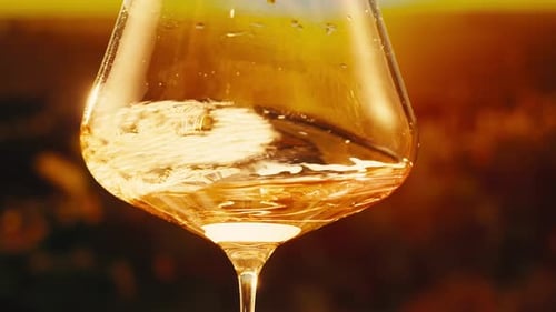 Orange or White Wine Bottle and Glass Against a Sunset in a Peaceful Vineyard Pouring of Ecological
