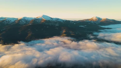 Aerial View of Vibrant Sunrise Over Carpathian Mountain Hills Covered with Evergreen Spruce Forest