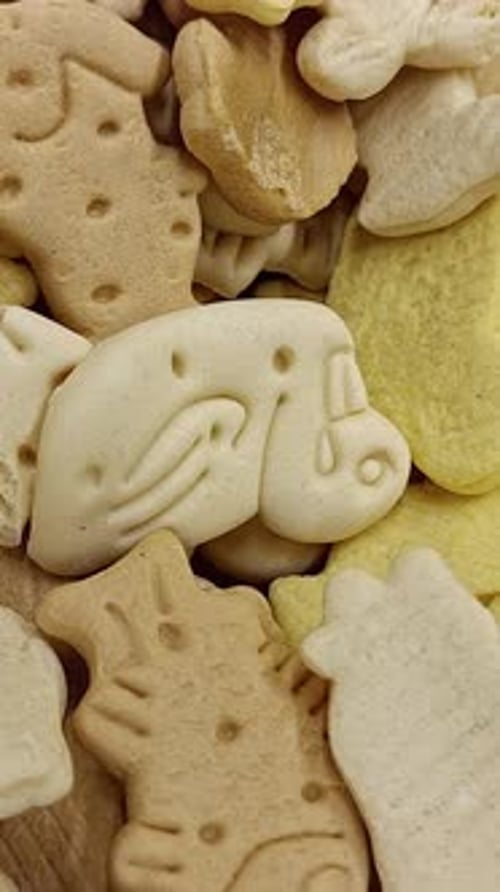 Vertical Video of Dog Biscuits