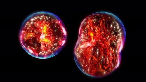 Abstract Fluid Cell Division and Multiplication Background