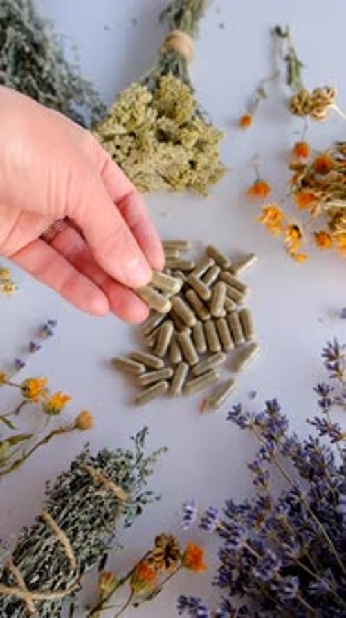 Dried Medicinal Herbs and Flowers Selective Focus