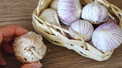 Manos femeninas que sostienen ajo normal con varios dientes en una mano y ajo chino de un solo diente en la