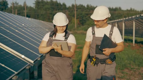 Workers Walk Through the Plant's Solar Panels and Analyze Its Performance