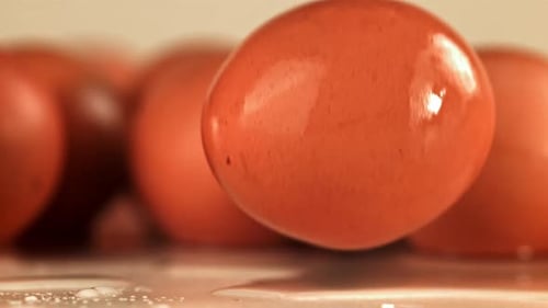 A Chicken Egg Falls on the Table Filmed on a Highspeed Camera at 1000 Fps