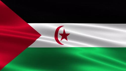 Sahrawi Arab Democratic Republic Flag Waving Animation