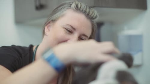 Female vet doctor inspects a small dog at the clinic