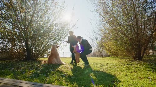 Family and dog in sunny park