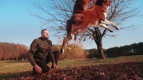 Man Playing with Dog in Autumn Leaves