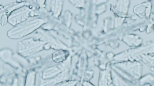 Snowflake under microscope