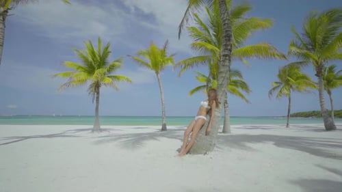 Beautiful woman leaning on palm tree enjoying a relaxing beach vacation