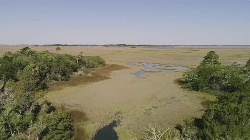 Wetland Marshes Swamp down South on the Water with tall grasses - drone approaching through trees