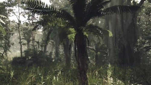 Exploring the Lush Jungle Landscape in Southern China During Golden Hour