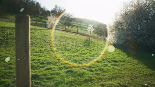 Averses de neige près d'un poteau et d'un arbre dans un cercle de lumière Arbres blancs en fleurs dans une orchidée pommière, terres agricoles à Ger