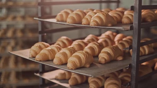 Freshly Baked Golden Croissants on Cooling Racks