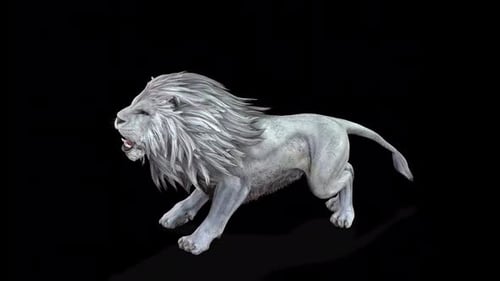 White Lion 3D Animated Roaring and Walking Cycle