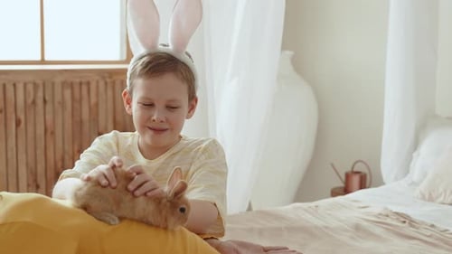 Child Wears Bunny Ears, Pets Rabbit Indoors