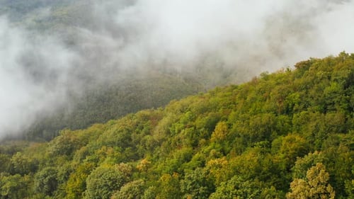 Epic aerial drone shot flying over colorful mountainous forest . Camera flies through misty soft clo