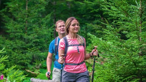 Slow motion of an adventurous couple of hikers coming from a pine forest and enjoying the view