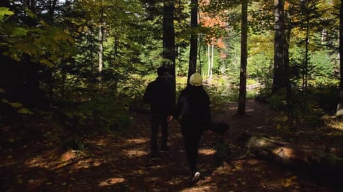 Young couple enjoying a summer hike through a beautiful state forest landscape