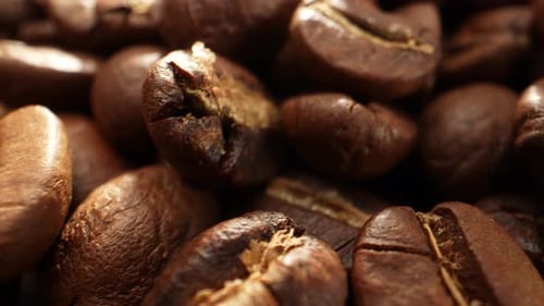 Beautiful coffee beans. Close-up macro video. 4K