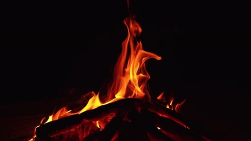 A pile of wood burn in the night. Cozy campfire burning in the darkness.
