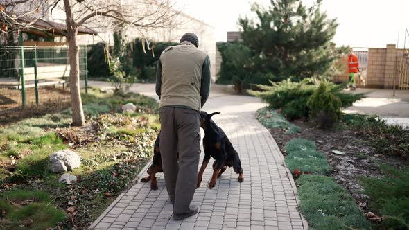Rear View of a Man with Two Dobermans Near the Country House Giving ...