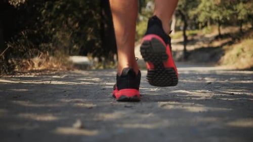 Entdecken Sie die perfekten Trailrunning-Schuhe, um die Schönheit der Natur und des Abenteuers zu genießen
