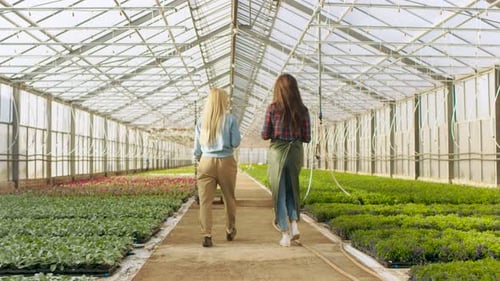 Women Walking Through Greenhouse Inspecting Plants