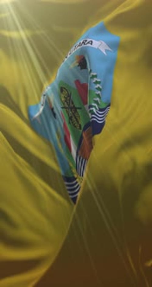 Realistic Waving North Kalimantan Province Flag Vertical Animation