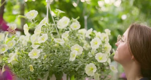 Woman Hanging Potted Petunia in Garden