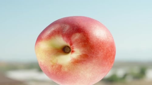 Nectarine in close-up, rotating against the blue sky.