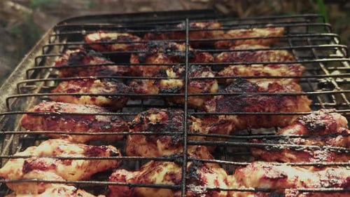 Chicken Wings Sizzling on Grill, Outdoor Cooking