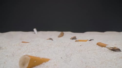 Super close-up camera shot of cigarette butts lefted in the beach. Dirty sand. Probe lens.