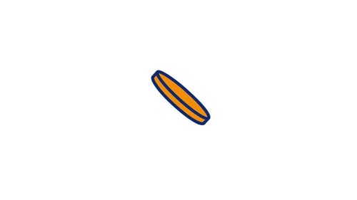 Dollar Animated Icon