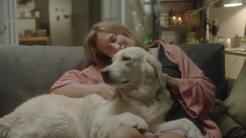 Woman Petting Cream-Colored Dog on Cozy Sofa