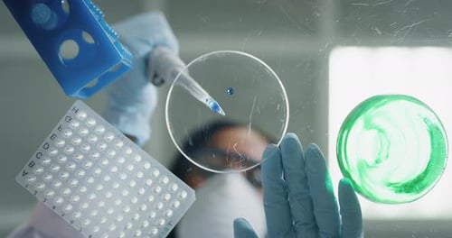 Scientist Drops Blue Liquid Into Petri Dish