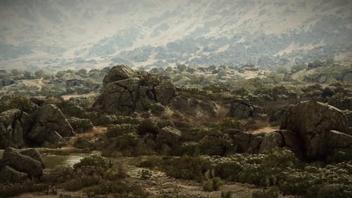 Rocky Landscape with Scattered Vegetation Under a Cloudy Sky in Autumn
