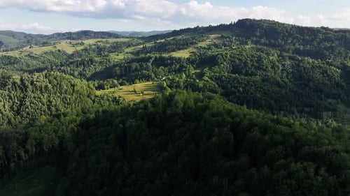 Landscape of the Carpathian. Flight over the summer mountains with green meadows and forest.