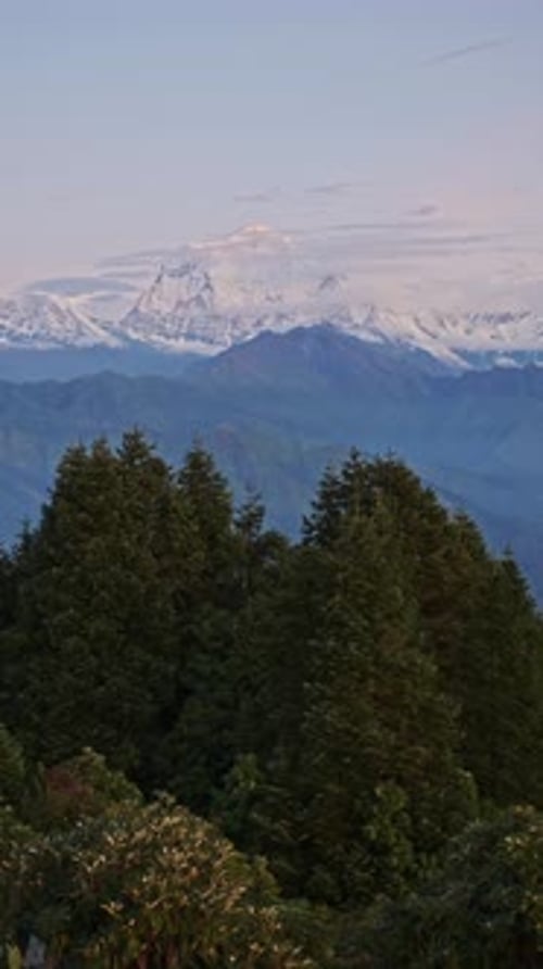 Nepal Mountains and Forest at Sunrise, Vertical Video for Social Media Instagram Reels and Tiktok of