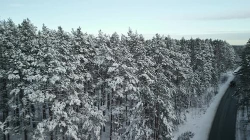 A Stunning Aerial View of a Winter Wonderland Showcasing a Picturesque Snowy Forest Alongside a