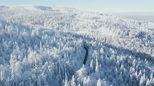 Scenic Road Through a Snowy Mountain Forest in the Winter Wonderland