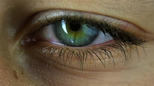 Wimpernhaare