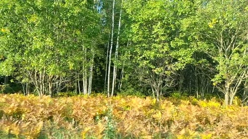 Ralentissement pendant la conduite. La beauté de la conduite d'une voiture