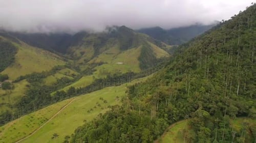 Montañas verdes del Valle del Cocora cubiertas por nubes bajas. Salida de plataforma rodante aérea