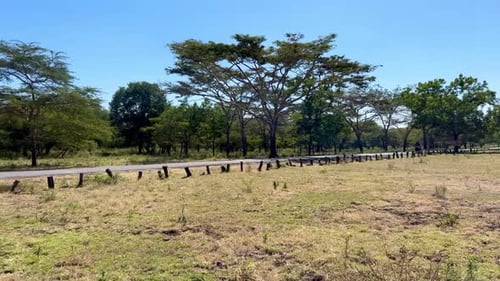 Baluran Jungle and Park